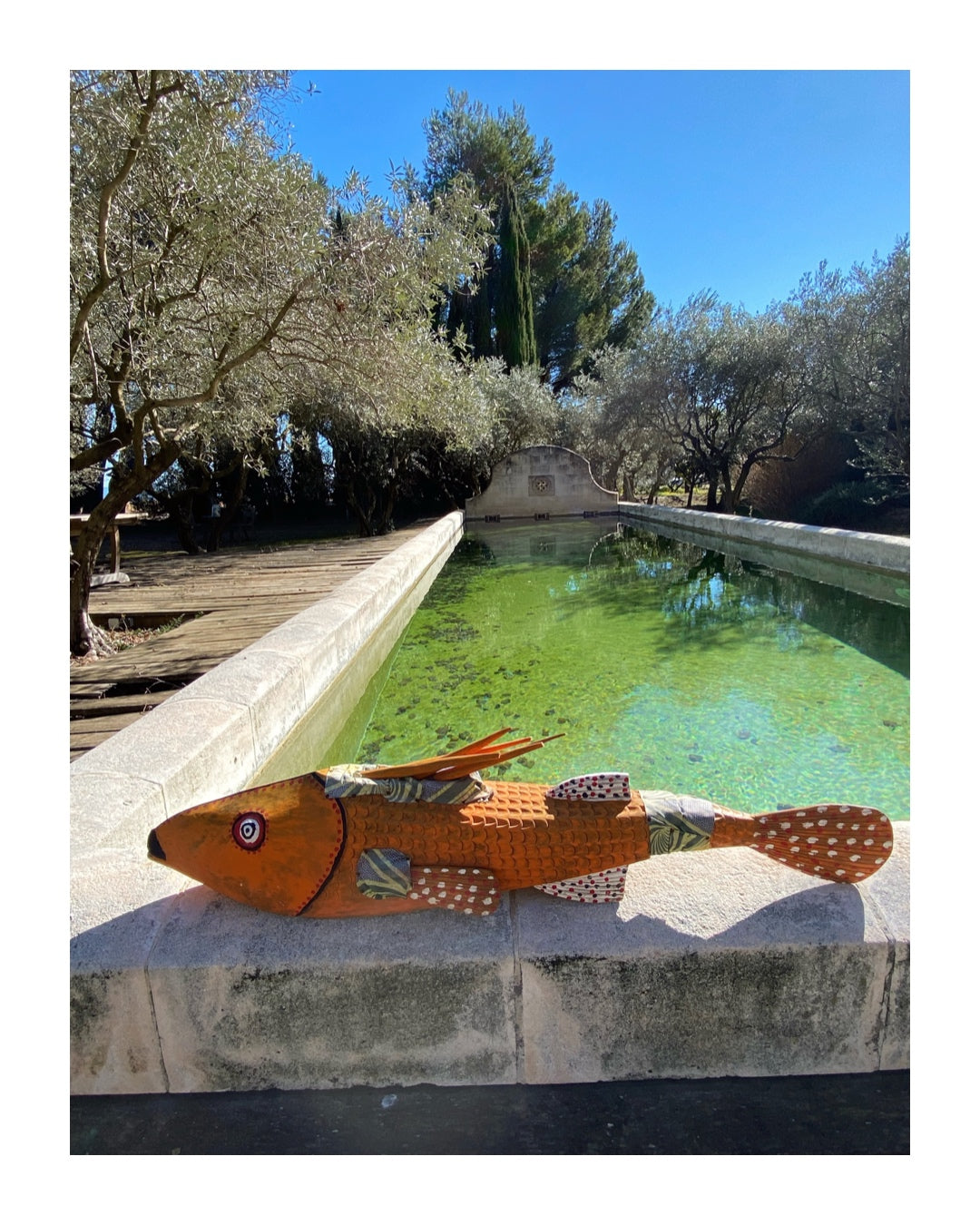 Poisson Bozo orange en provenance du Mali